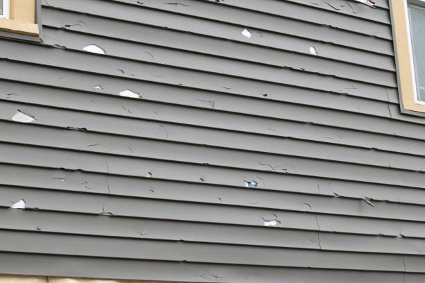 Puhi, HI Siding Installation & Repair Company